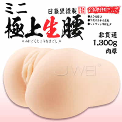 日本のNPG 麻里梨夏 超ハイウエストレプリカ リアルライフ マスターベーター 1.3KG
