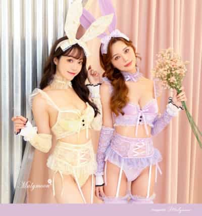 日本Malymoon Feminine Lace Bunny Cosplay 8 Piece Set [2270]