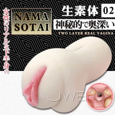 日本A-One生素体02膣内成形自慰器430g