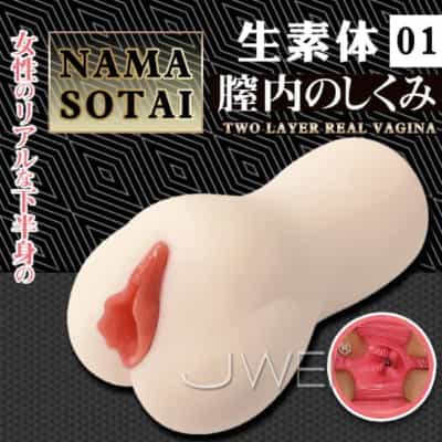 日本製 A-One バイオボディ 01 肉感オナホール 465g