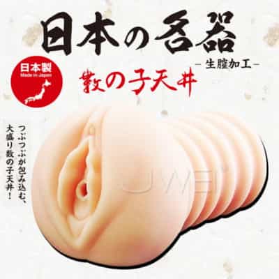 日本SSI日本の名器数の子天井自慰器605g