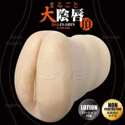 日本製 A-One 大陰唇オナホール 180g