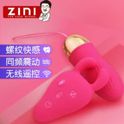 Zini Amery ワイヤレス リモコン バイブレーター