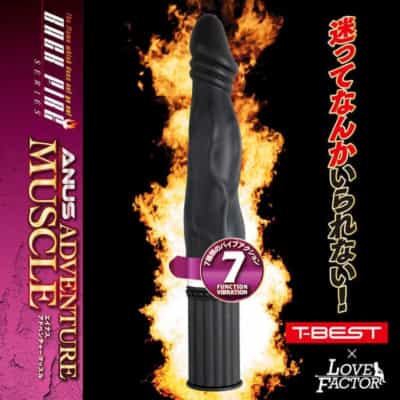 日本のEXEアナルアドベンチャー筋肉バイブレーター