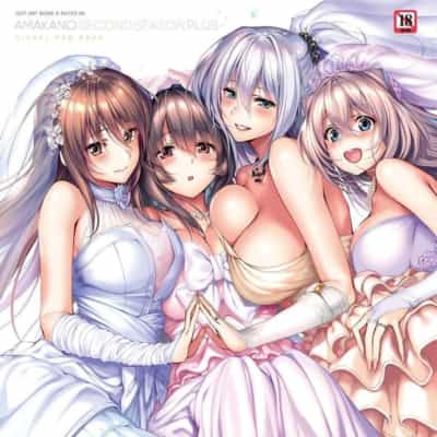 日本語アマカノセカンドシーズンプラス4814801955アートワーク大型本大型アニメ画像写真