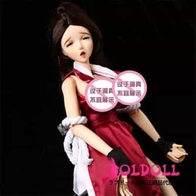 日本の古いミニドール BJD 58CM Aili10 フィギュア コスプレ セックスドール