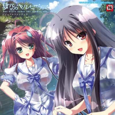 日本Sora No Peruseusu Bijuarufanbukku Wanimagazine Art Book 4862692524动漫图片写真