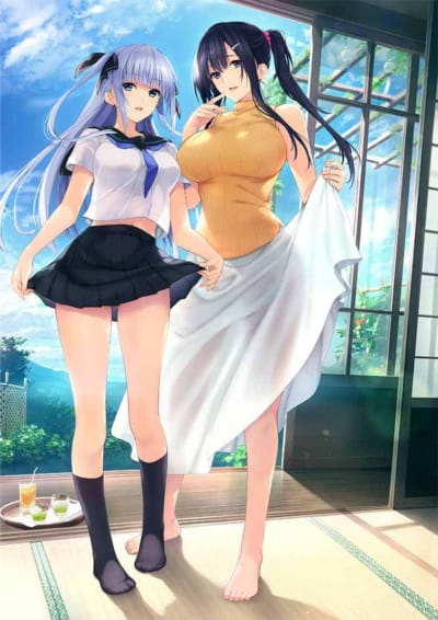 響作品集 PCゲーム 水蓮と紫炎（キス枕カバー付き限定版）枕カバースキン