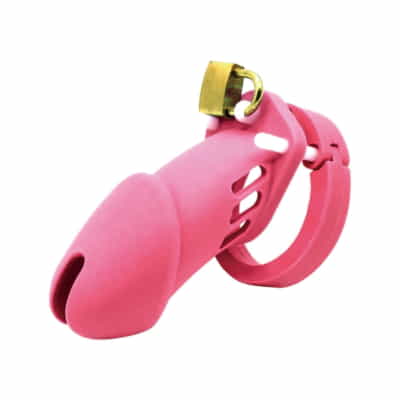 日本贞操帯Chastity Belt Masturbation Management CB6000