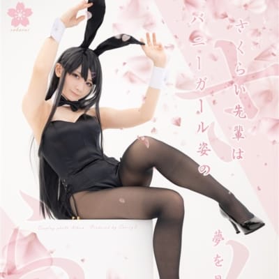 日本LapinAngelia Seniors Don't Dream Of Wearing A Bunny Girl ROM Doujin Cosplay CD同人制服CD